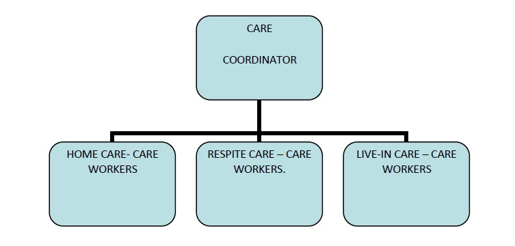 Organizational Structure In Skilled Nursing Facilities